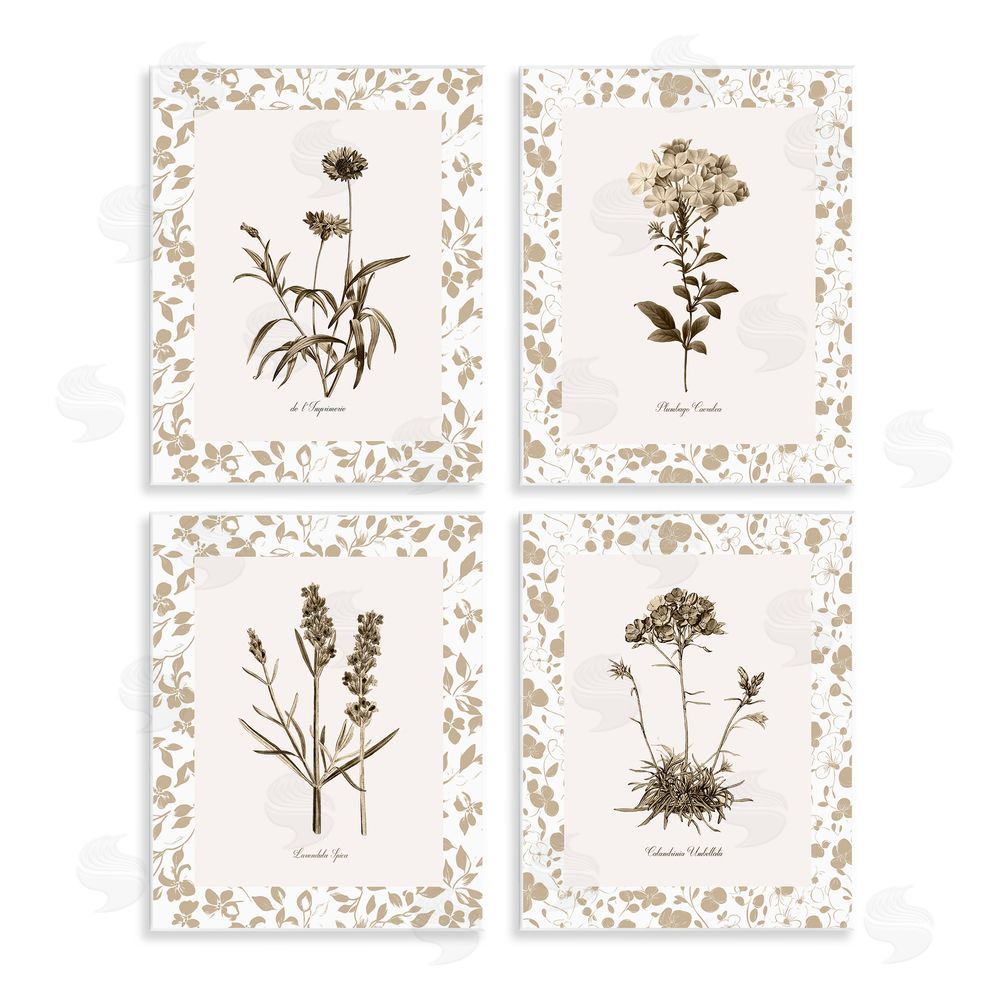 Kelly Donovan Neutral Imperial Flower Studies Wall Plaque Art Print