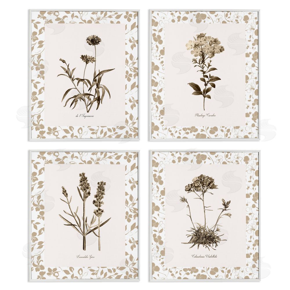 Kelly Donovan Neutral Imperial Flower Studies White Framed Giclee Wall Art Print