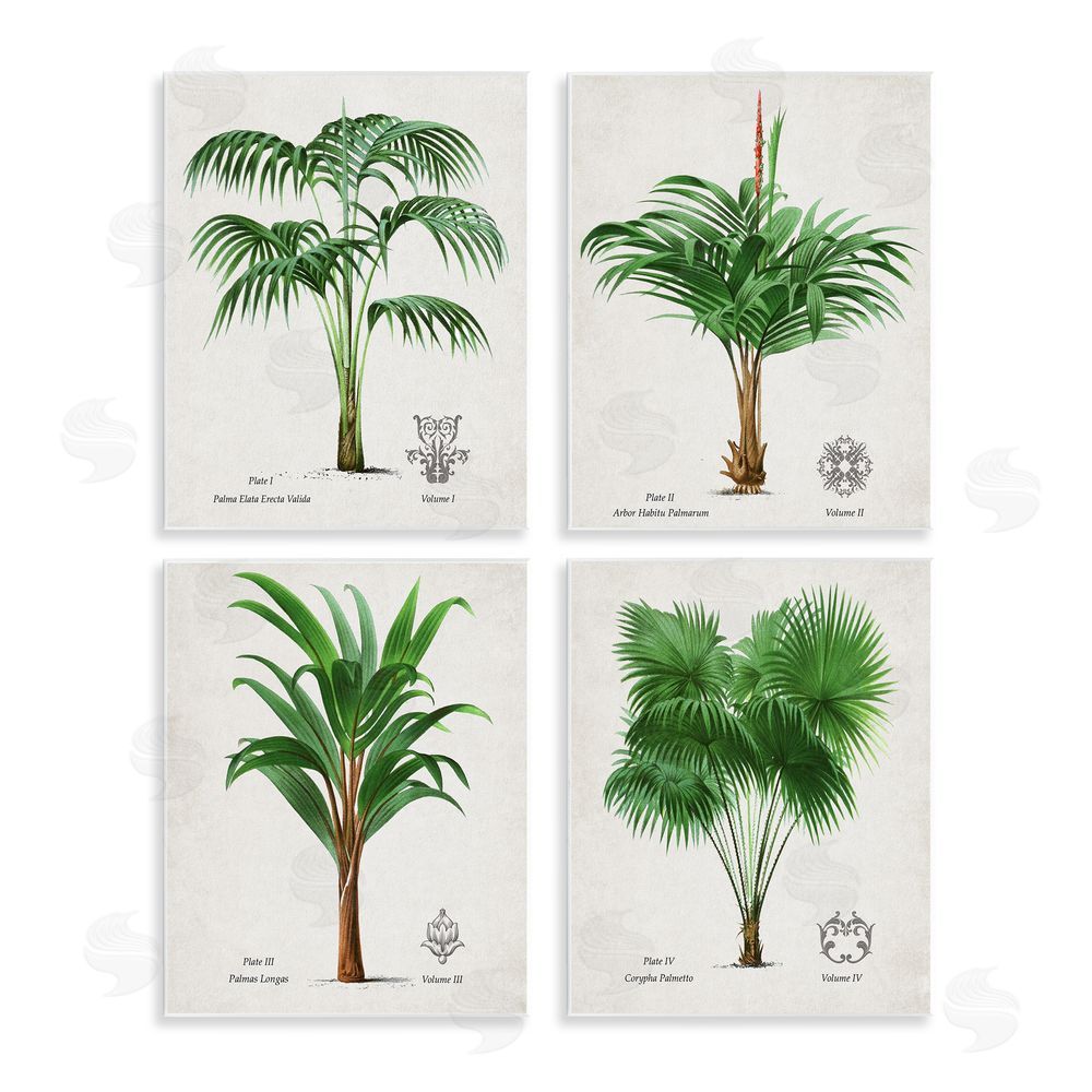Natalie Carpentieri Palm Varieties Studies Wall Plaque Art Print