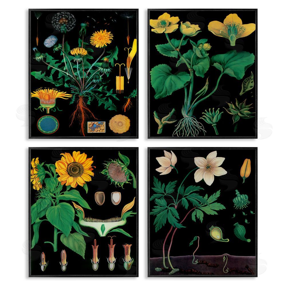 Vintage Hustle Botanical Illustrations on Black Black Framed Giclee Wall Art Print
