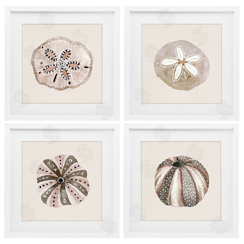 Sundance Graphics Taupe & Beige Sea Creatures White Framed Print Under Glass Wall Art