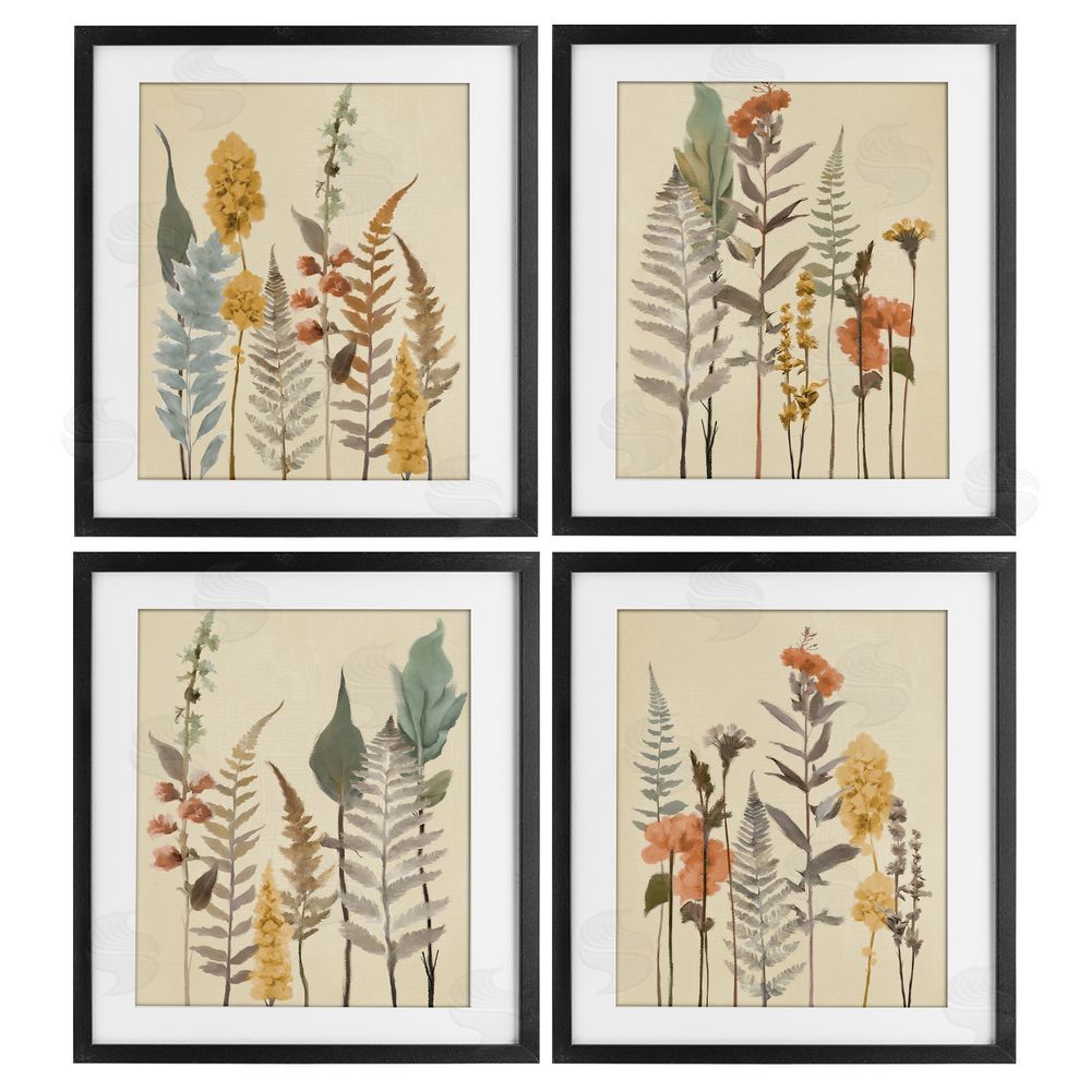 Elizabeth Medley Wispy Earthy Botanicals Black Framed Print Under Glass Wall Art