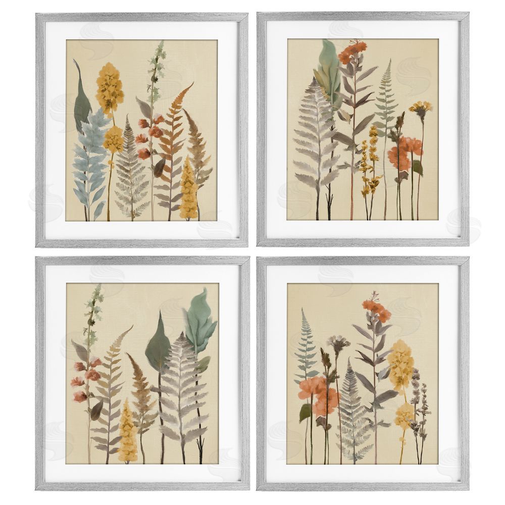 Elizabeth Medley Wispy Earthy Botanicals Gray Framed Print Under Glass Wall Art