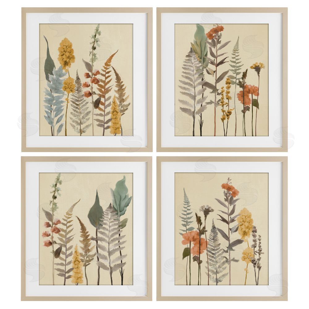 Elizabeth Medley Wispy Earthy Botanicals Brown Framed Print Under Glass Wall Art