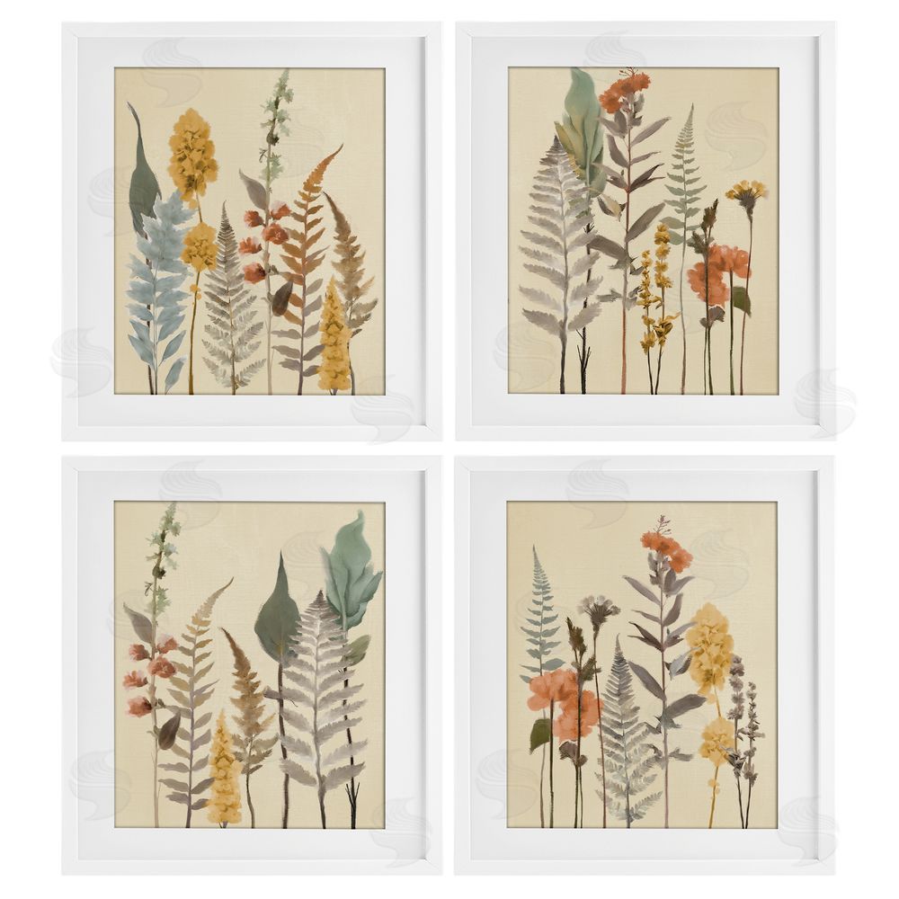 Elizabeth Medley Wispy Earthy Botanicals White Framed Print Under Glass Wall Art