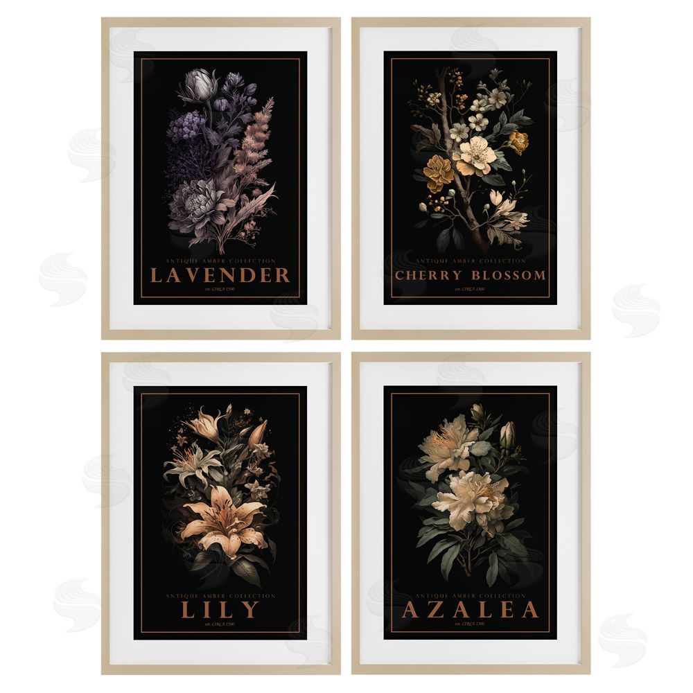 Chris Giampietro Antique Varied Botanical Blooms Brown Framed Print Under Glass with Matting Wall Art