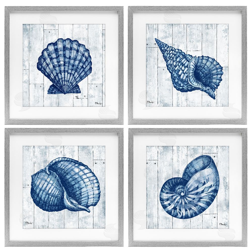 Paul Brent Coastal Timberland Seashells Gray Framed Print Under Glass Wall Art