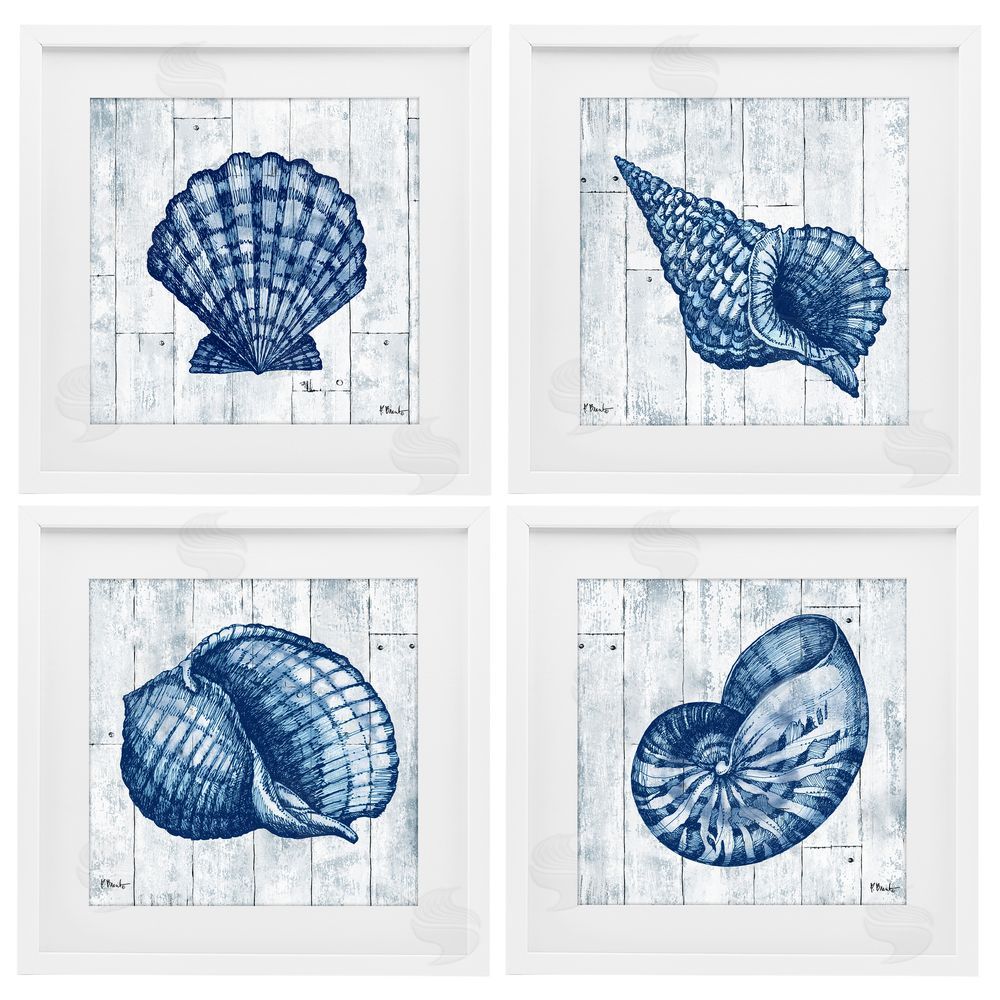 Paul Brent Coastal Timberland Seashells White Framed Print Under Glass Wall Art
