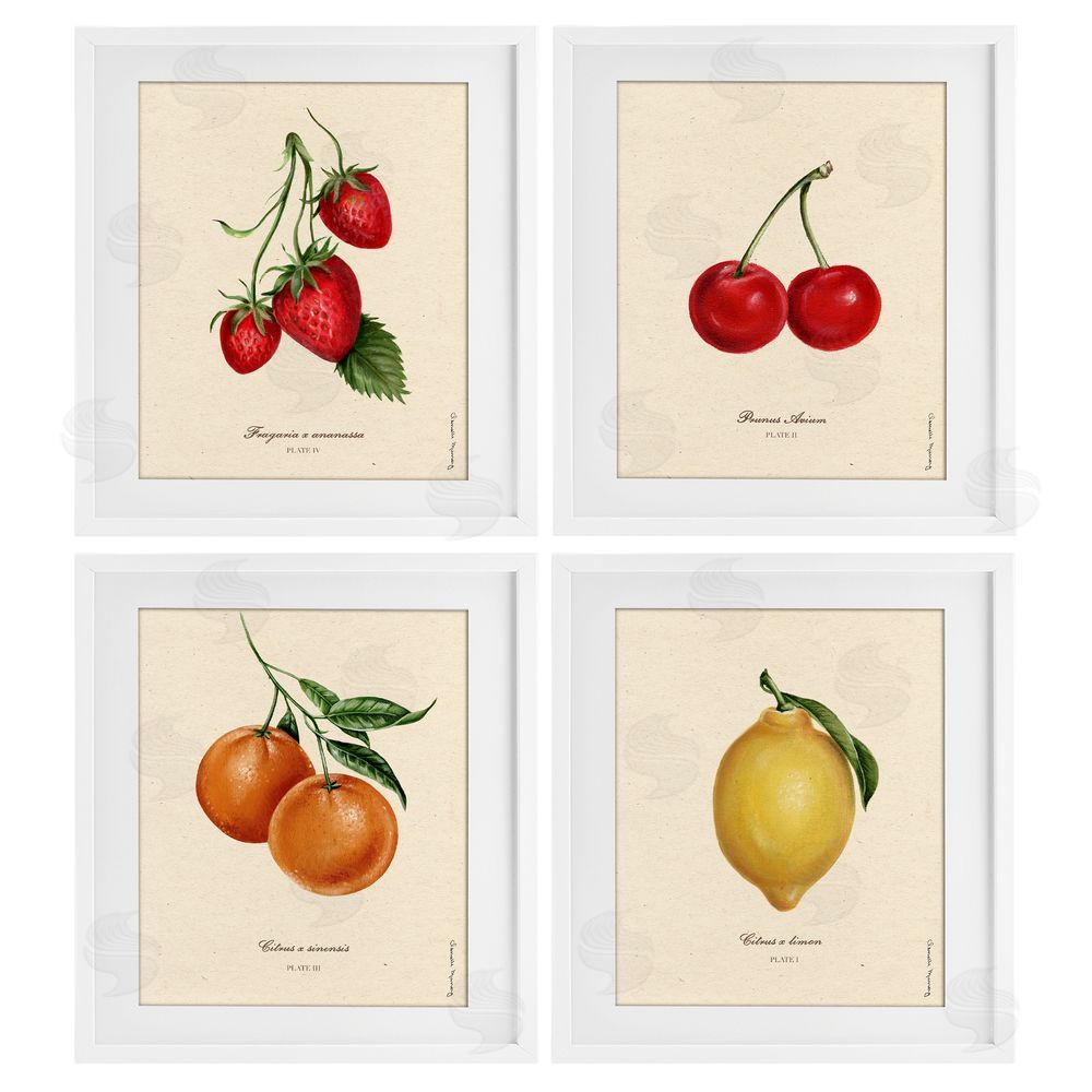Courtney Davis Inc Vintage Fruit Portraits White Framed Print Under Glass Wall Art