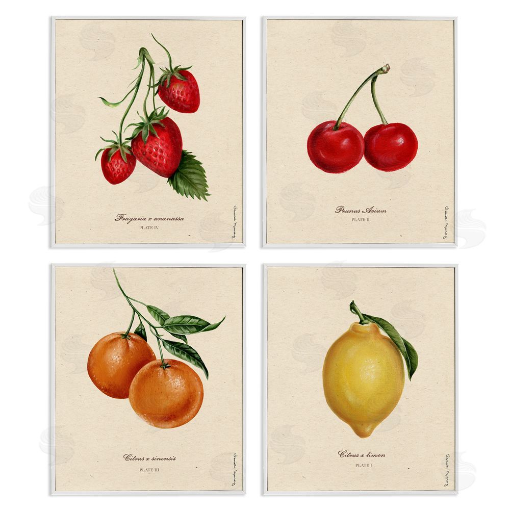 Courtney Davis Inc Vintage Fruit Portraits White Framed Giclee Wall Art Print