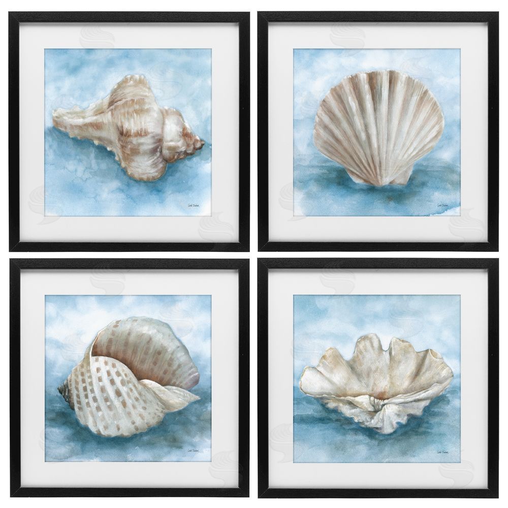Leslie Trimbach Coastal Calm Collection Black Framed Print Under Glass Wall Art