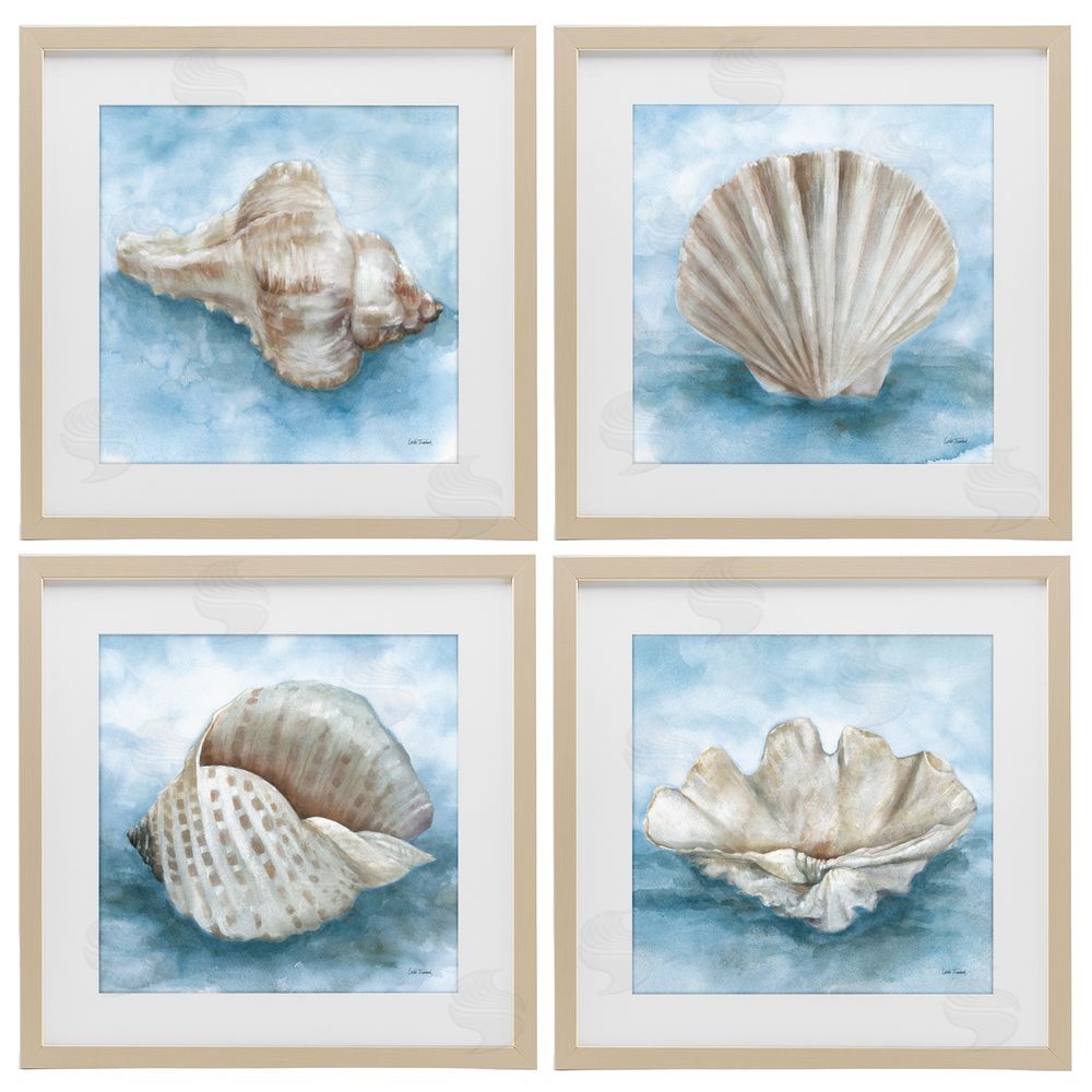Leslie Trimbach Coastal Calm Collection Brown Framed Print Under Glass Wall Art