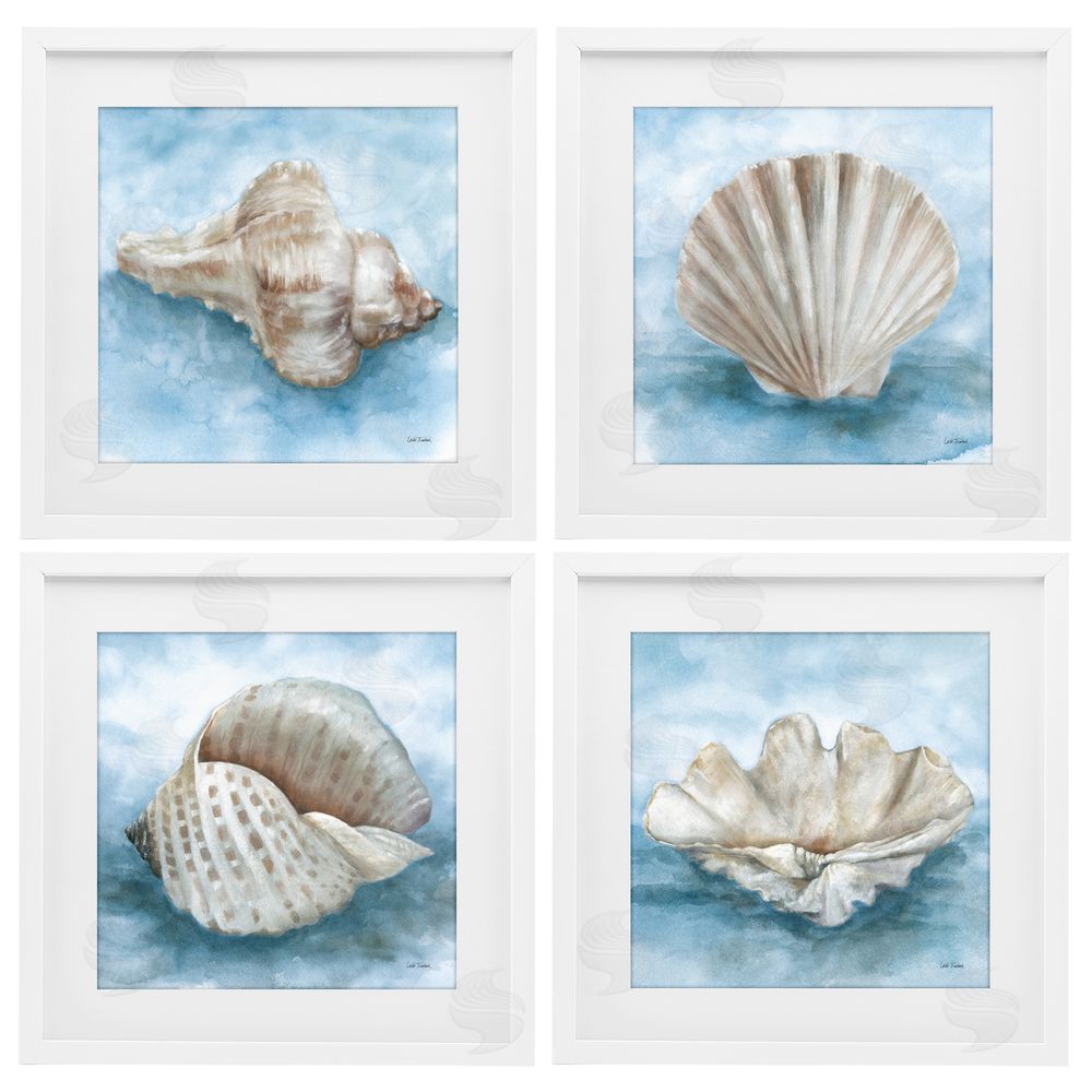 Leslie Trimbach Coastal Calm Collection White Framed Print Under Glass Wall Art