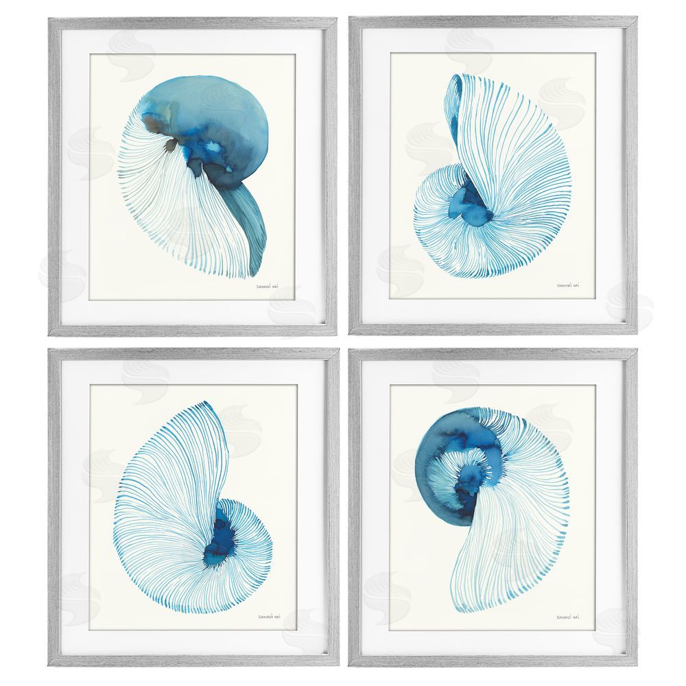 Danhui Nai Blue Toned Nautilus Shells Gray Framed Print Under Glass Wall Art