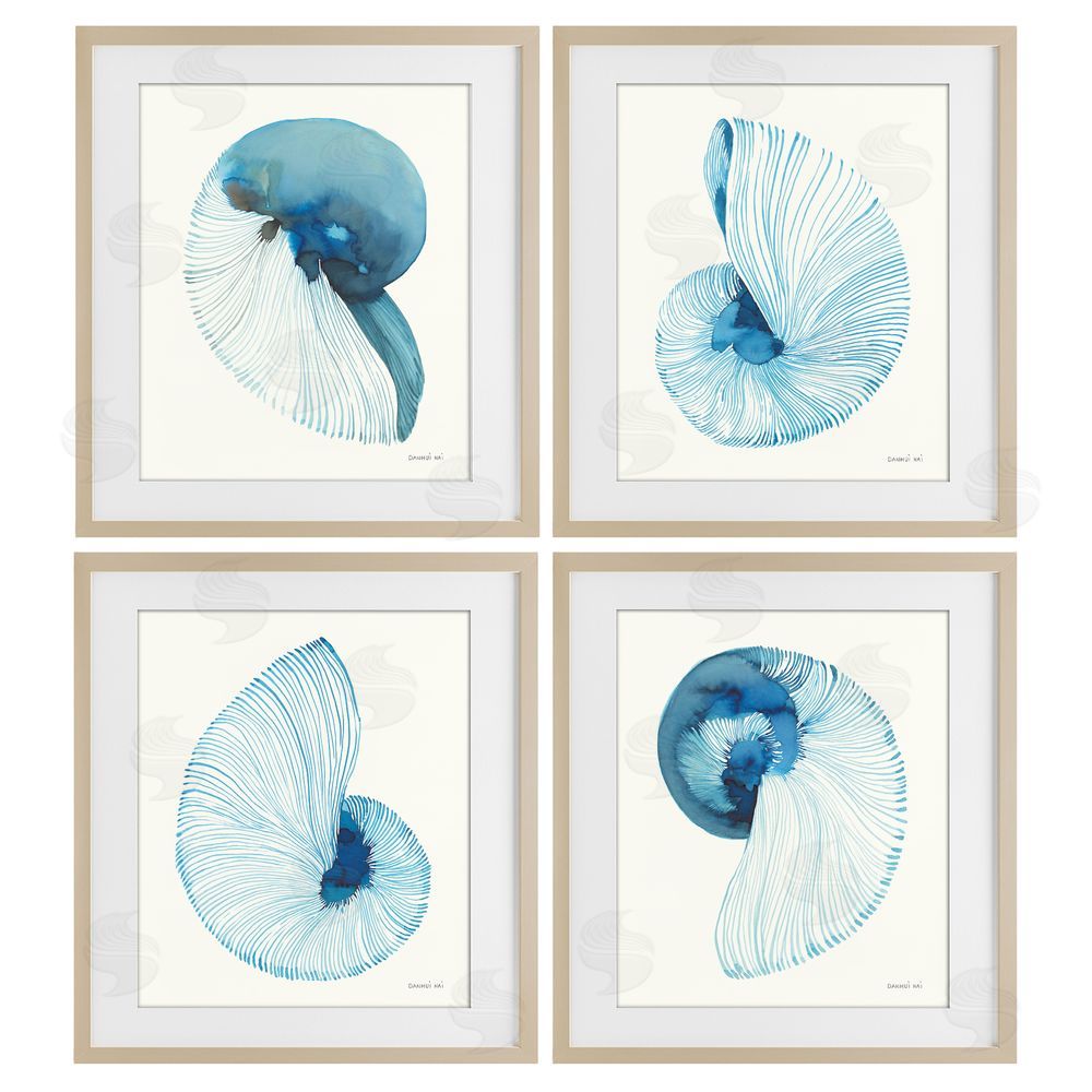 Danhui Nai Blue Toned Nautilus Shells Brown Framed Print Under Glass Wall Art
