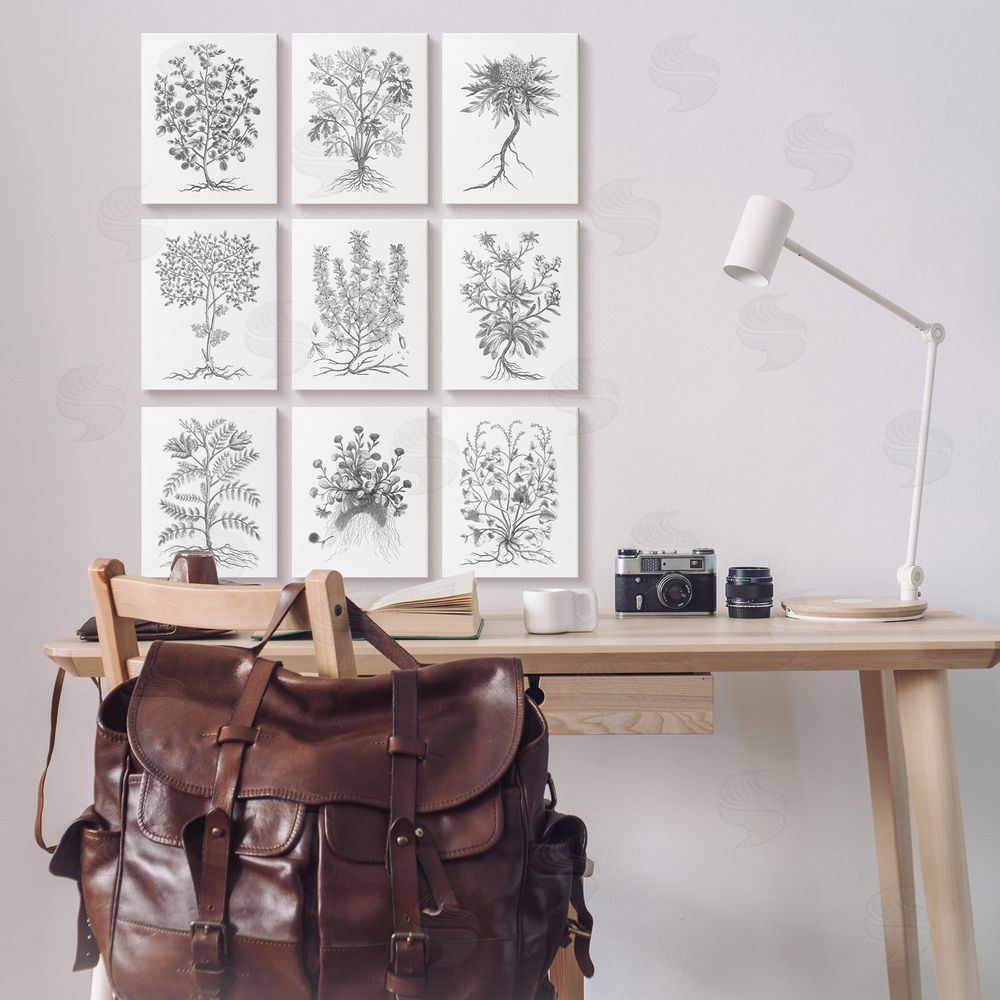 World Art Group Vintage Plant Study Illustration Leaves Roots Canvas Wall Art Print in Room