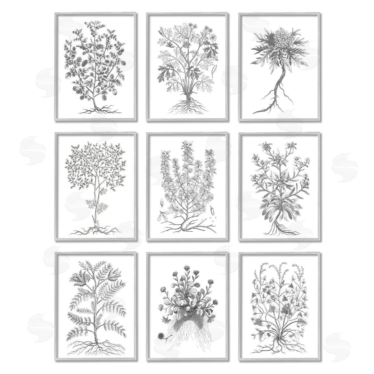 World Art Group Vintage Plant Study Illustration Leaves Roots Gray Framed Giclee Wall Art Print