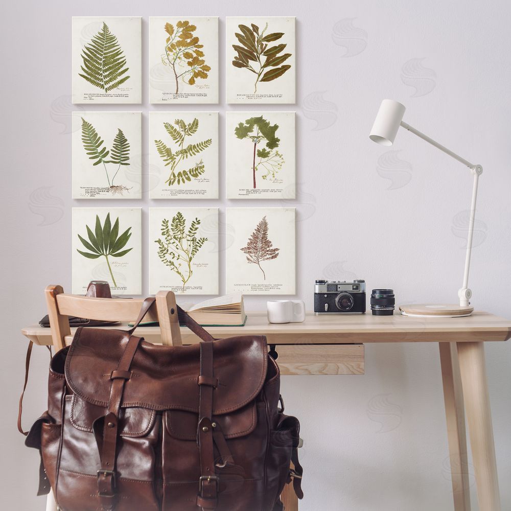 World Art Group Delicate Pressed Botanicals Vintage Study Canvas Wall Art Print in Room