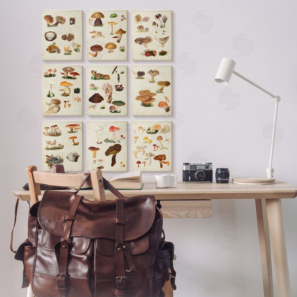 Vision Studio Various Rustic Mushrooms Vegetal Nature Canvas Wall Art Print in Room
