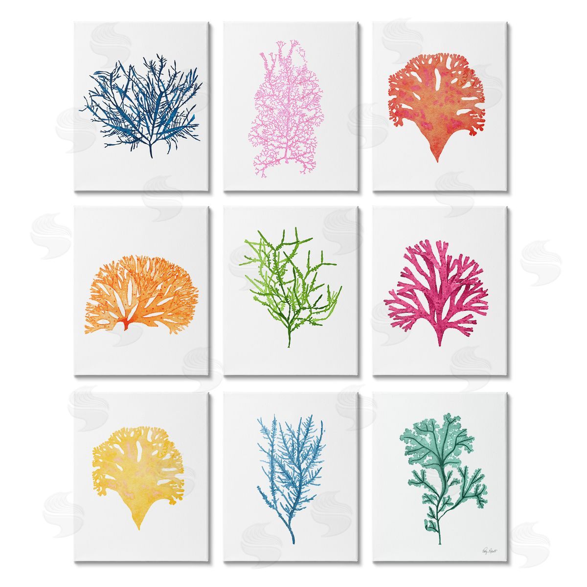 Patty Rybolt Vibrant Various Coral Ocean Life Canvas Wall Art Print