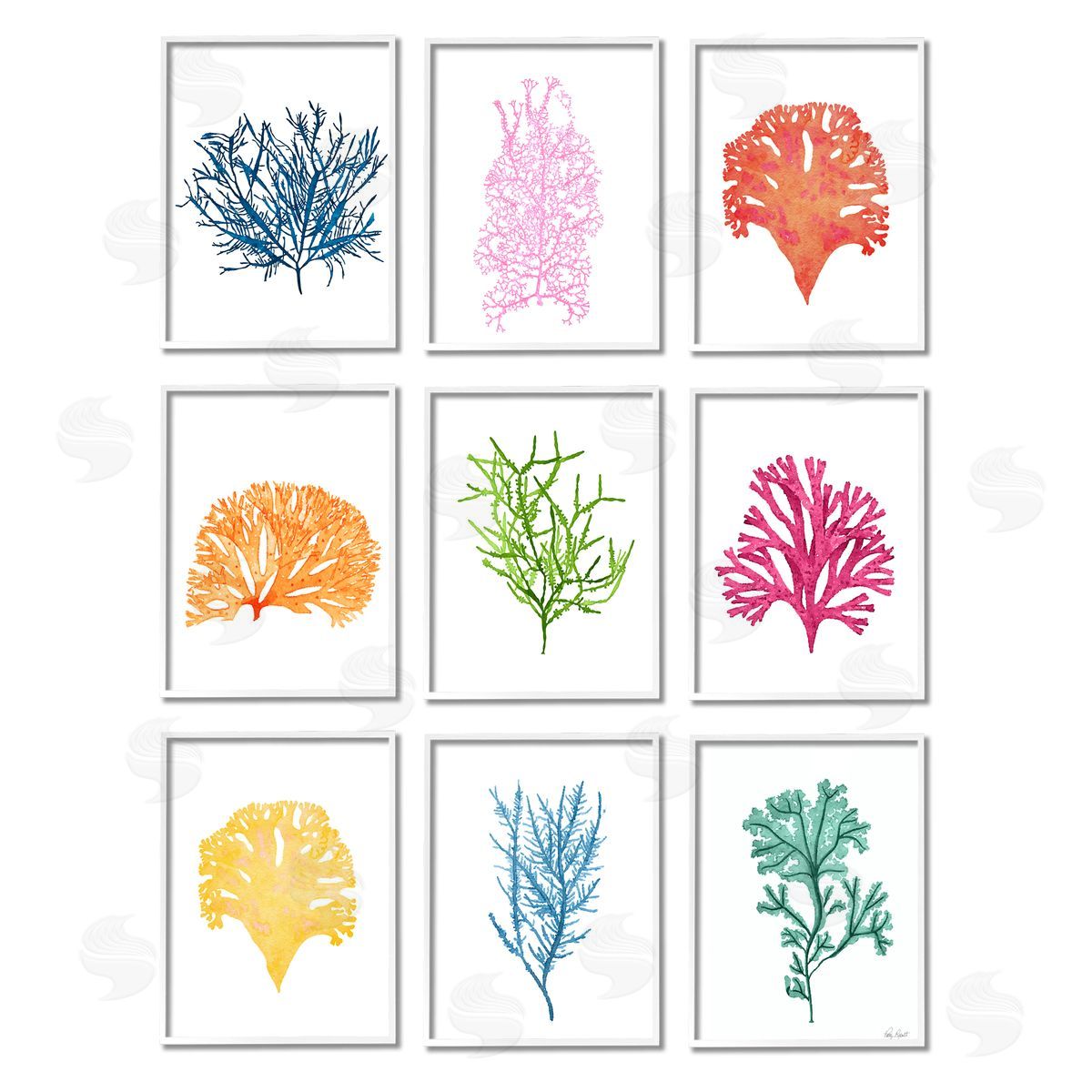 Patty Rybolt Vibrant Various Coral Ocean Life White Framed Giclee Wall Art Print