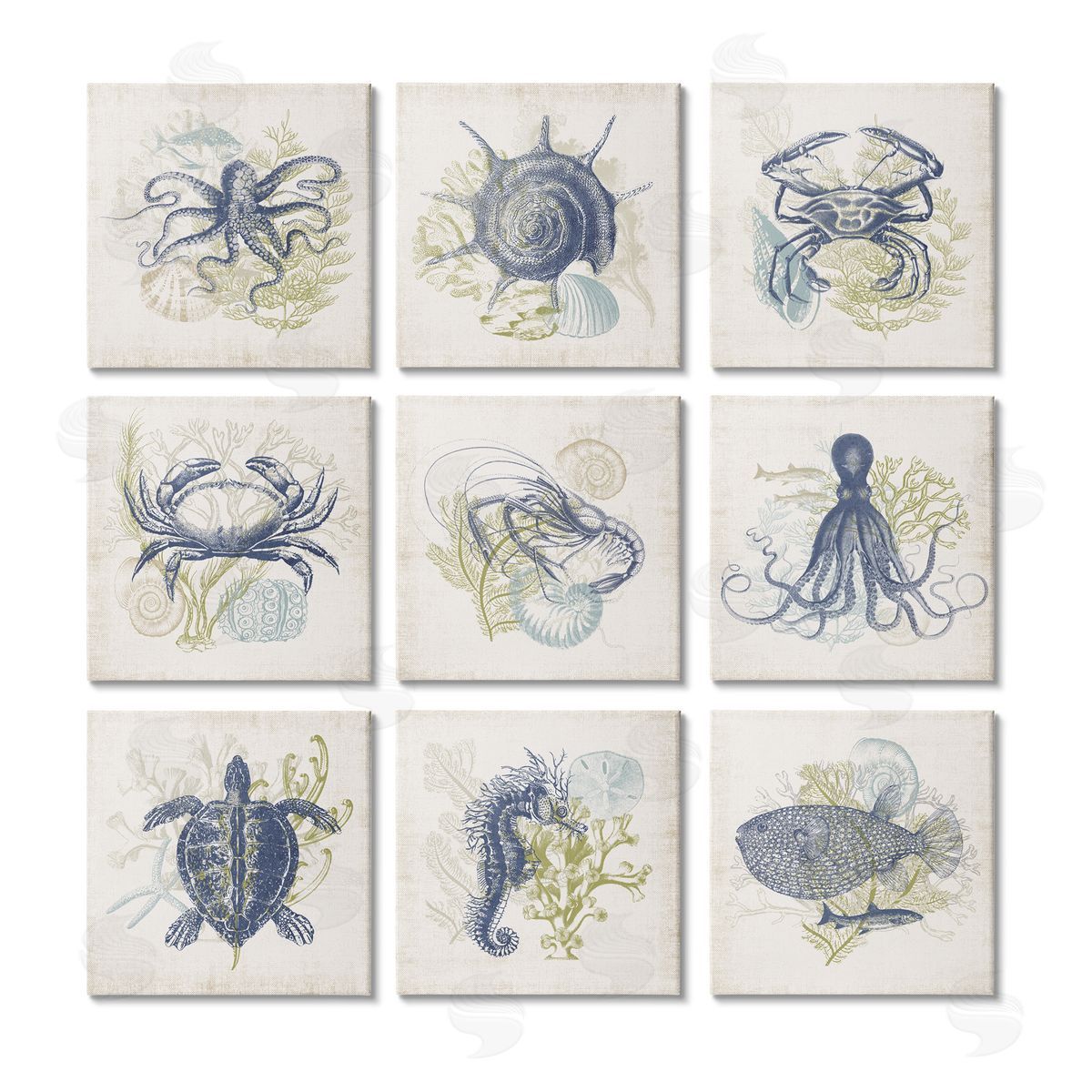 Victoria Barnes Detailed Marine Life Underwater Animals Canvas Wall Art Print