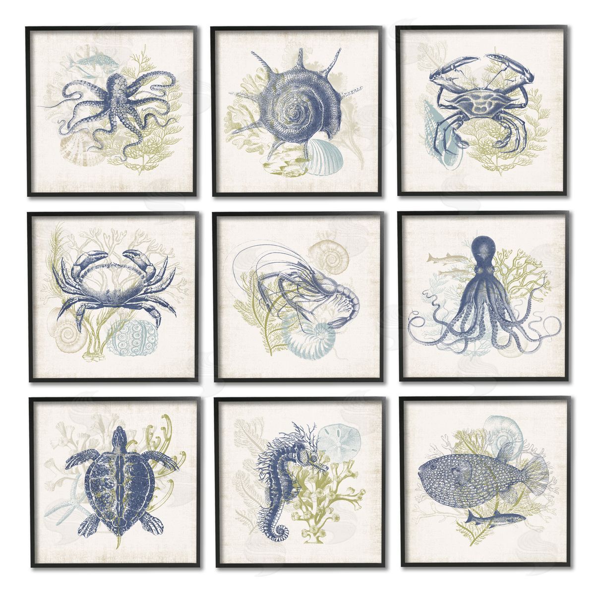 Victoria Barnes Detailed Marine Life Underwater Animals Black Framed Giclee Wall Art Print