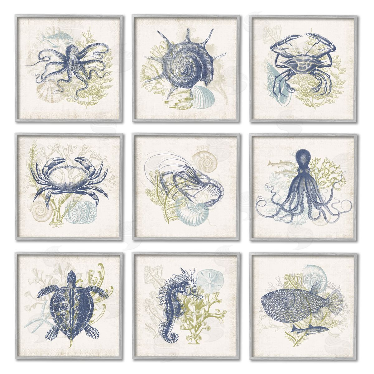 Victoria Barnes Detailed Marine Life Underwater Animals Gray Framed Giclee Wall Art Print