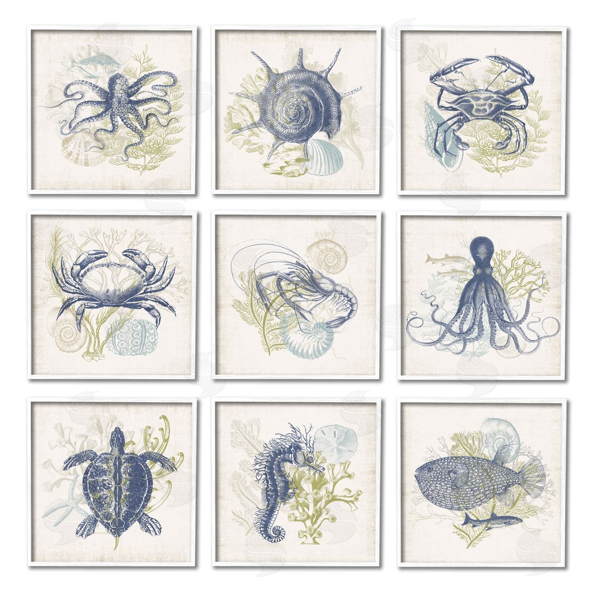 Victoria Barnes Detailed Marine Life Underwater Animals White Framed Giclee Wall Art Print
