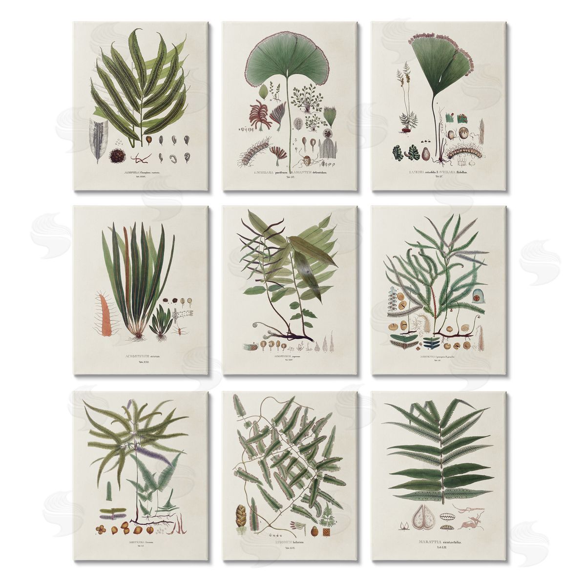 Vision Studio Antique Leaves Vintage Studies Canvas Wall Art Print