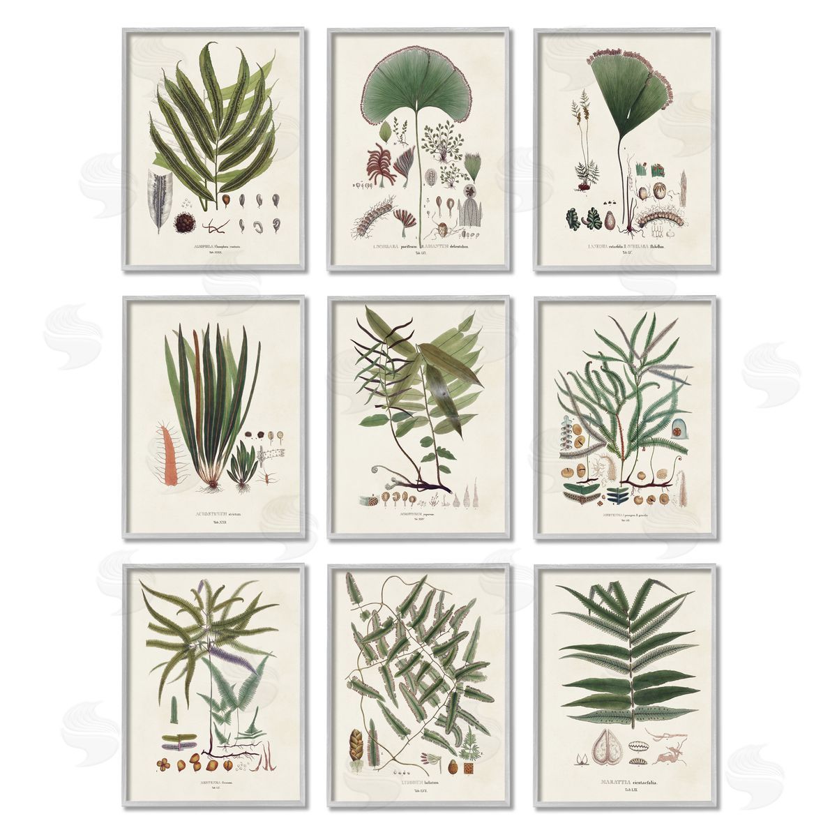 Vision Studio Antique Leaves Vintage Studies Gray Framed Giclee Wall Art Print