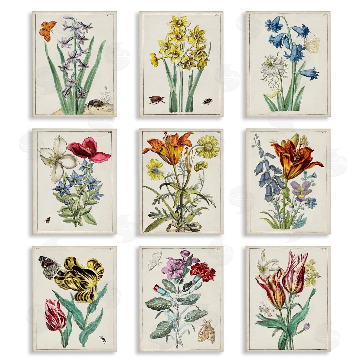 World Art Group Vintage Bugs & Flowers Canvas Wall Art Print