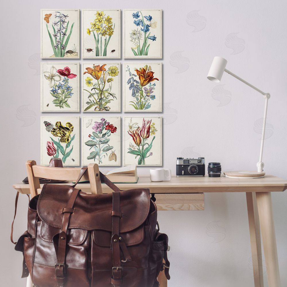 World Art Group Vintage Bugs & Flowers Canvas Wall Art Print in Room