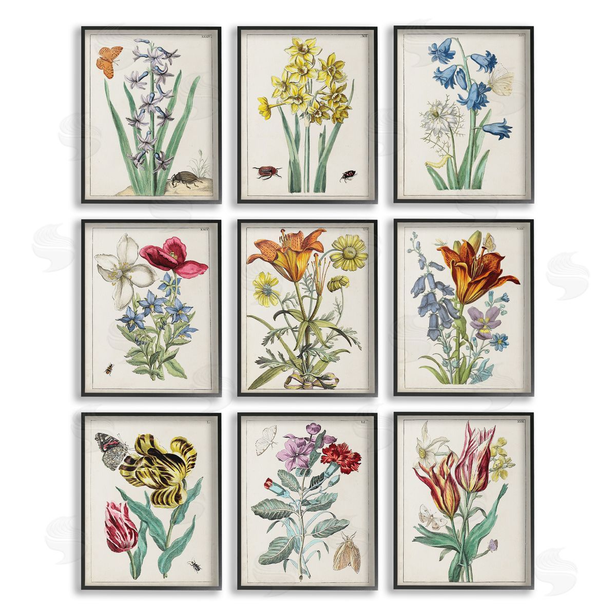 World Art Group Vintage Bugs & Flowers Black Framed Giclee Wall Art Print