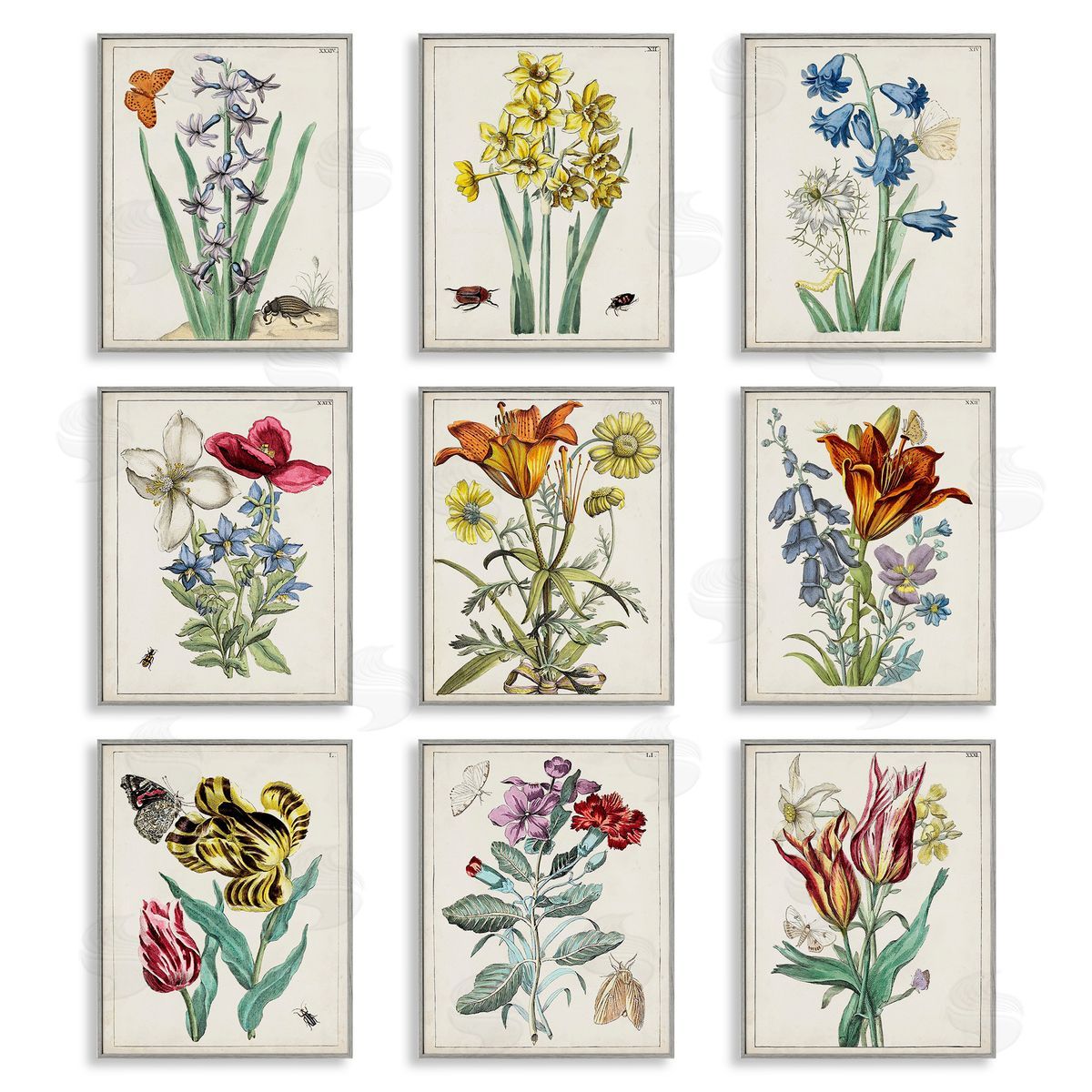 World Art Group Vintage Bugs & Flowers Gray Framed Giclee Wall Art Print