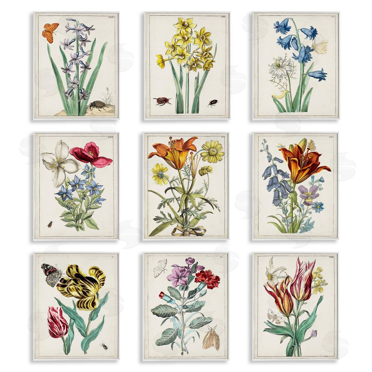 World Art Group Vintage Bugs & Flowers White Framed Giclee Wall Art Print