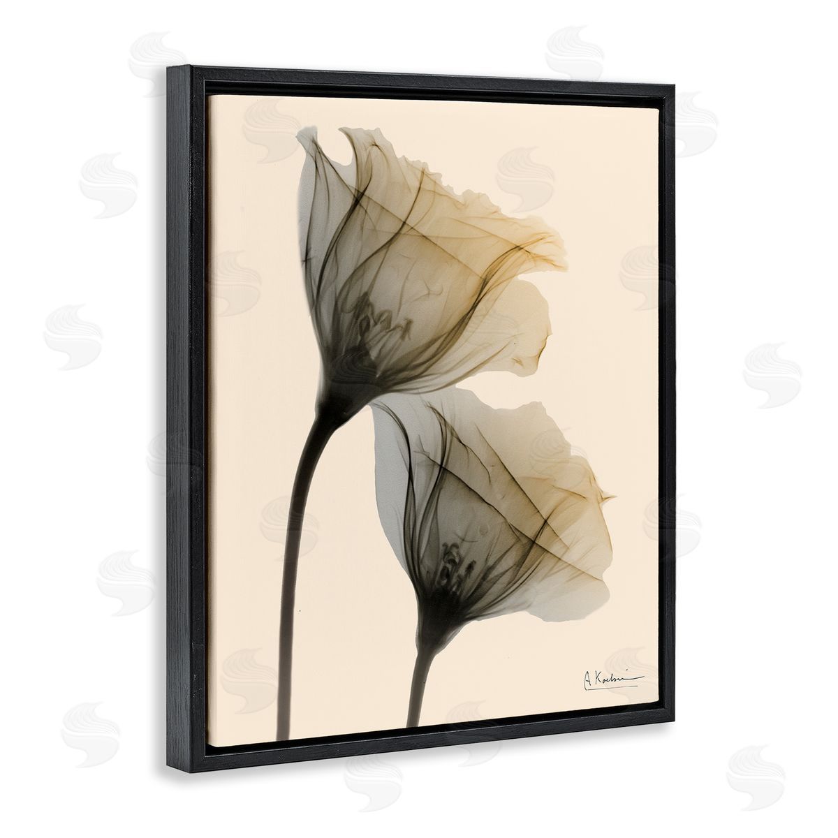 Neutral Light Flower Photograph Black Floating Frame Canvas Wall Art, Home Decor by Albert Koetsier