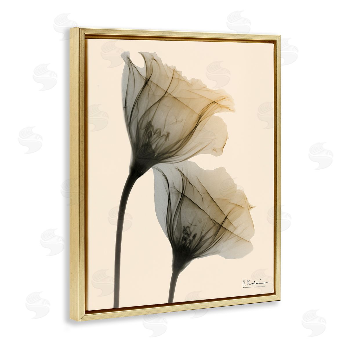 Neutral Light Flower Photograph Gold Floating Frame Canvas Wall Art, Home Decor by Albert Koetsier
