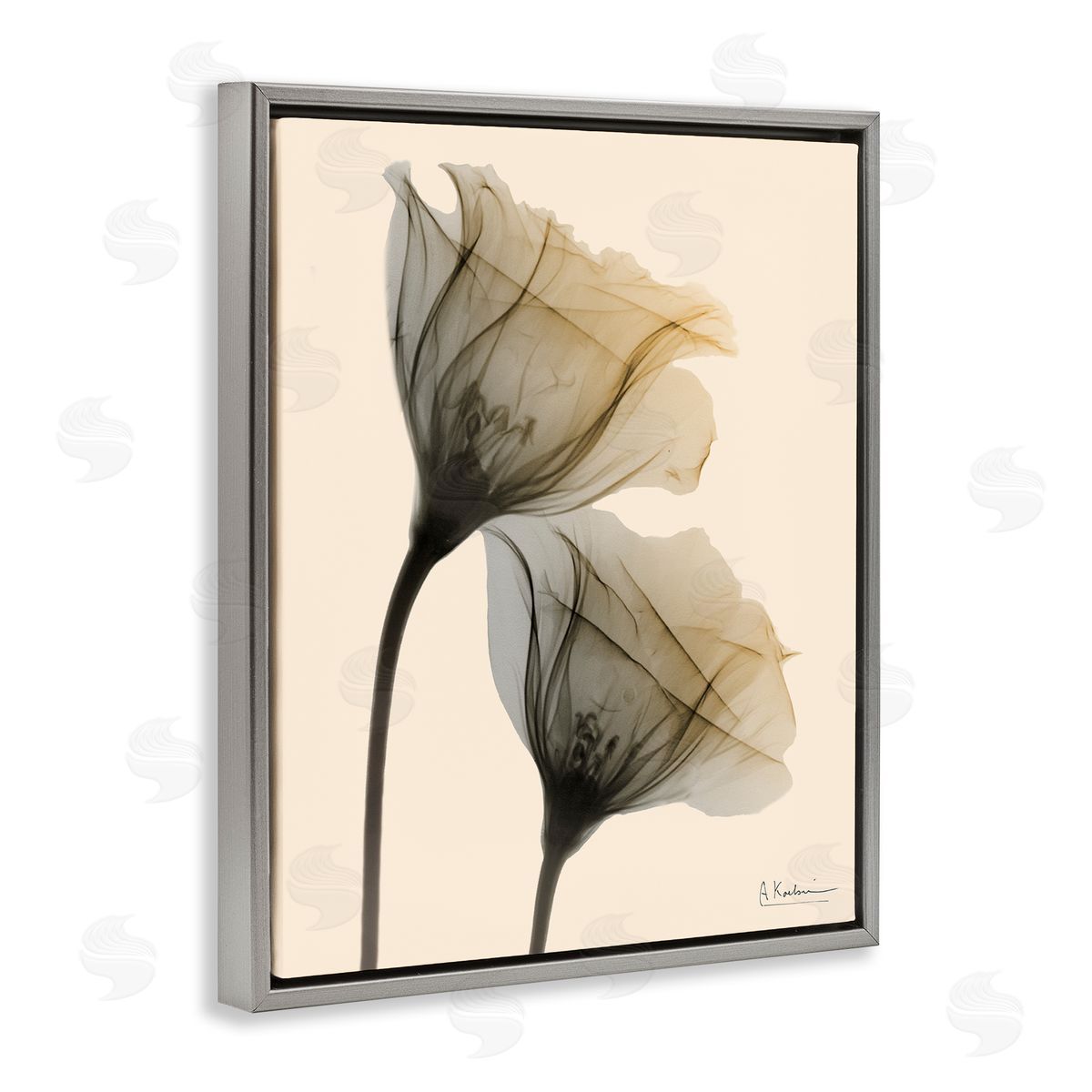 Neutral Light Flower Photograph Grey Floating Frame Canvas Wall Art, Home Decor by Albert Koetsier