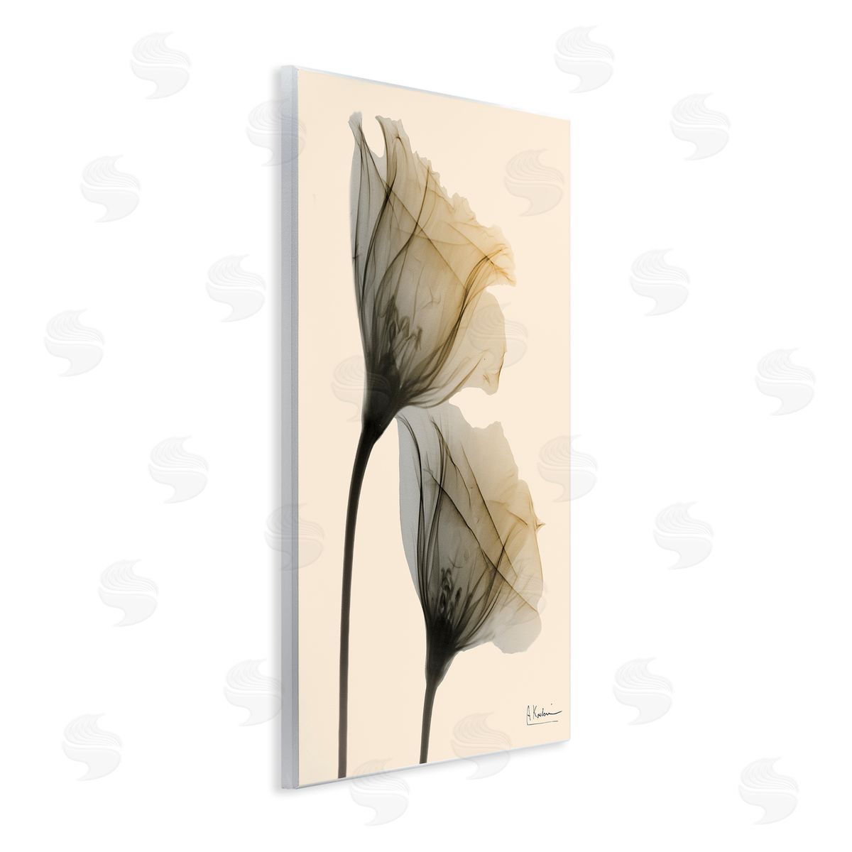 Neutral Light Flower Photograph Wood Plaque Wall Art, Home Decor by Albert Koetsier