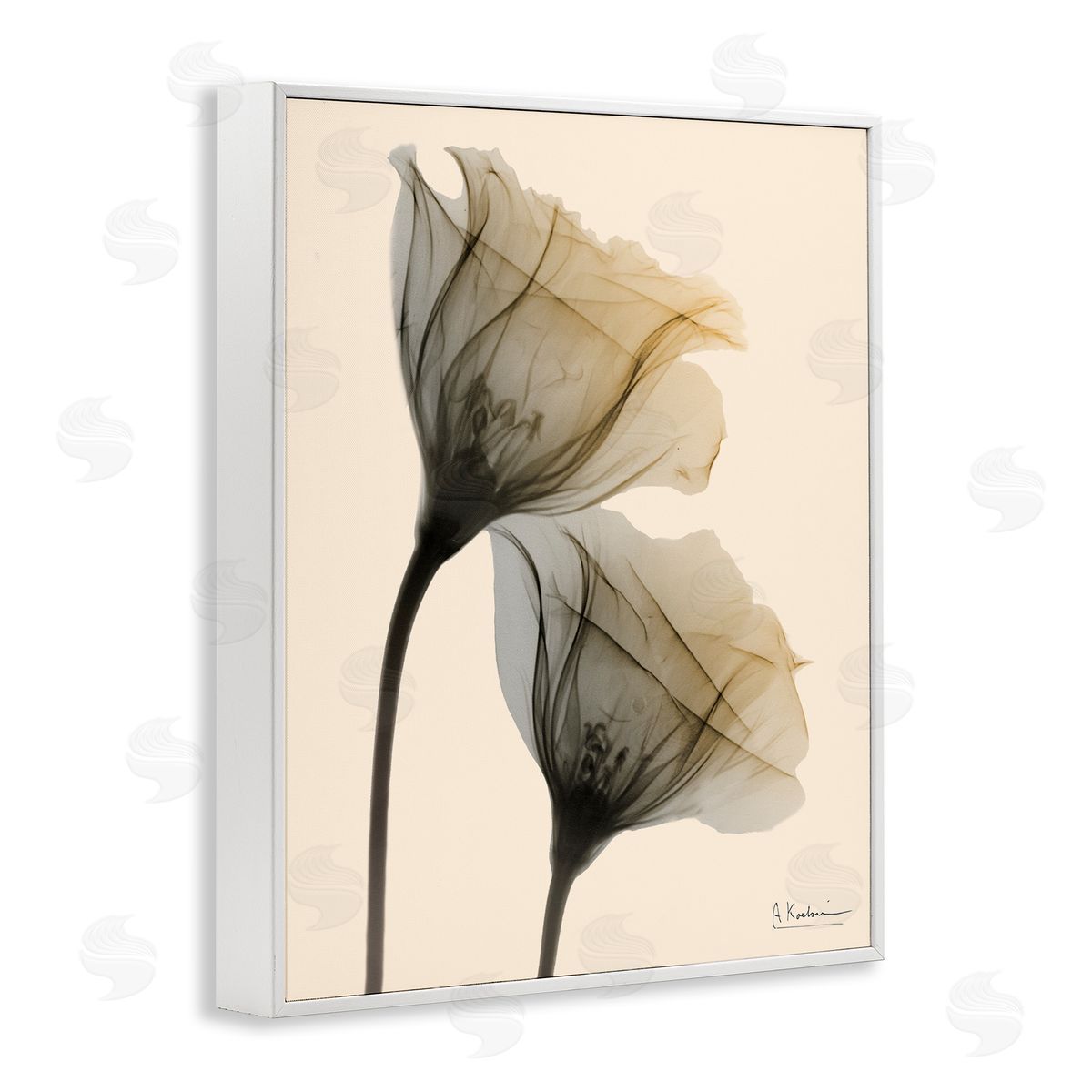 Neutral Light Flower Photograph White Frame Print Wall Art, Home Decor by Albert Koetsier