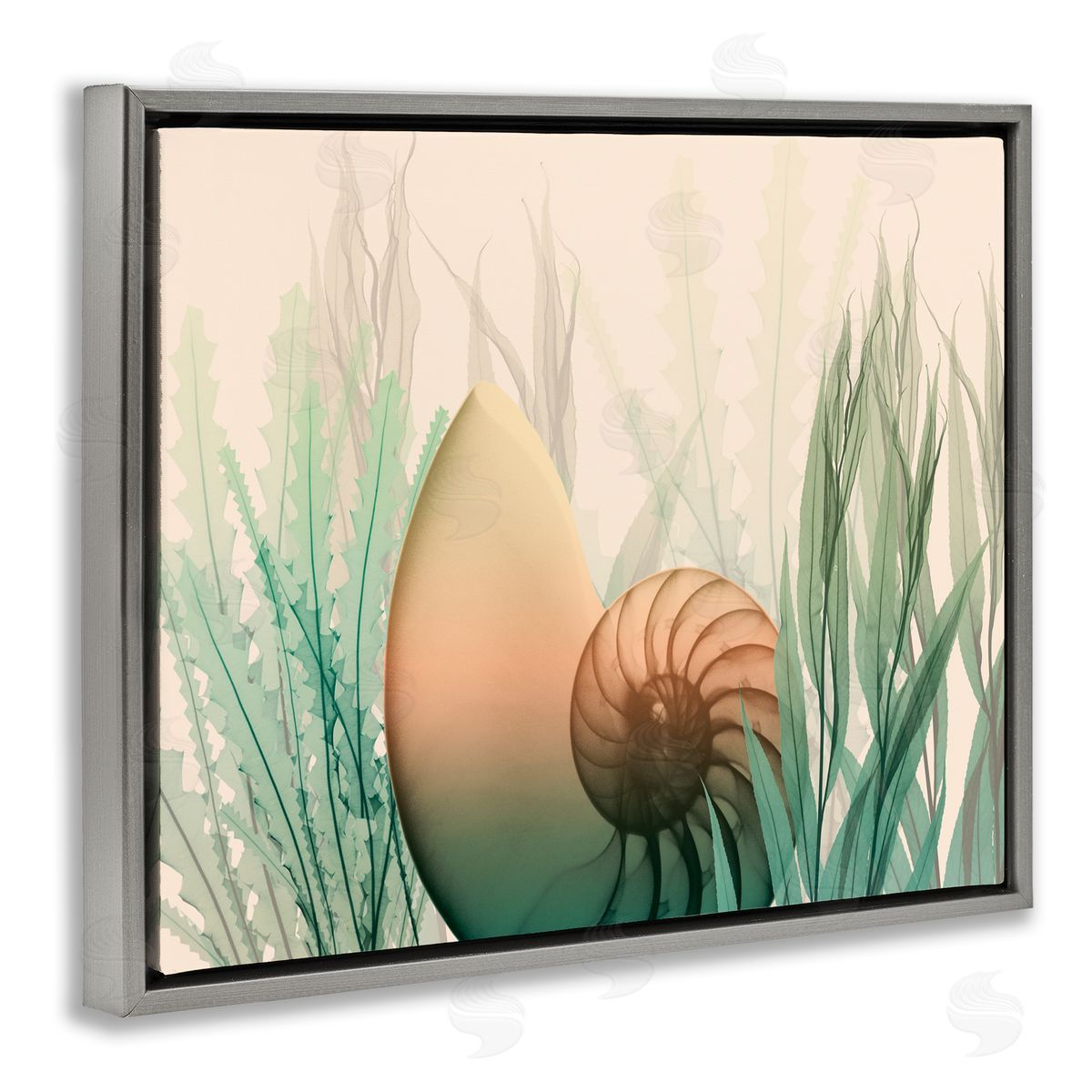 Ocean Seashell Seaweed Collage Grey Floating Frame Canvas Wall Art, Home Decor by Albert Koetsier