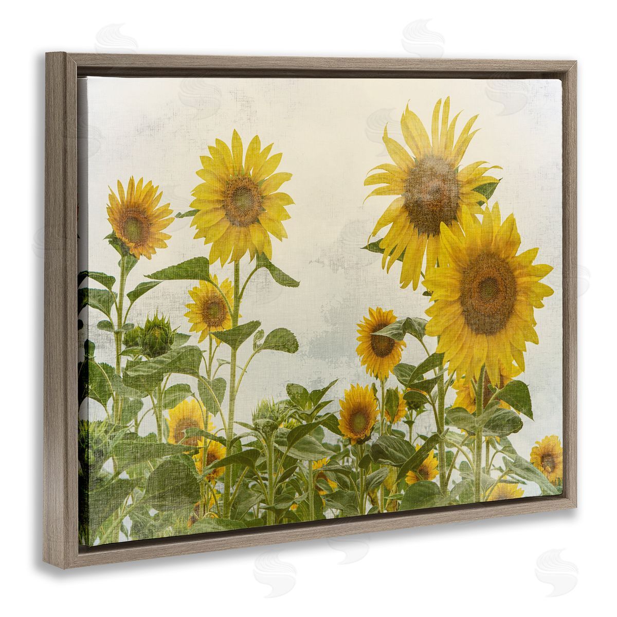 Sunflower Garden Farm Burlap Brown Floating Frame Canvas Wall Art, Home Decor by Anne Bailey