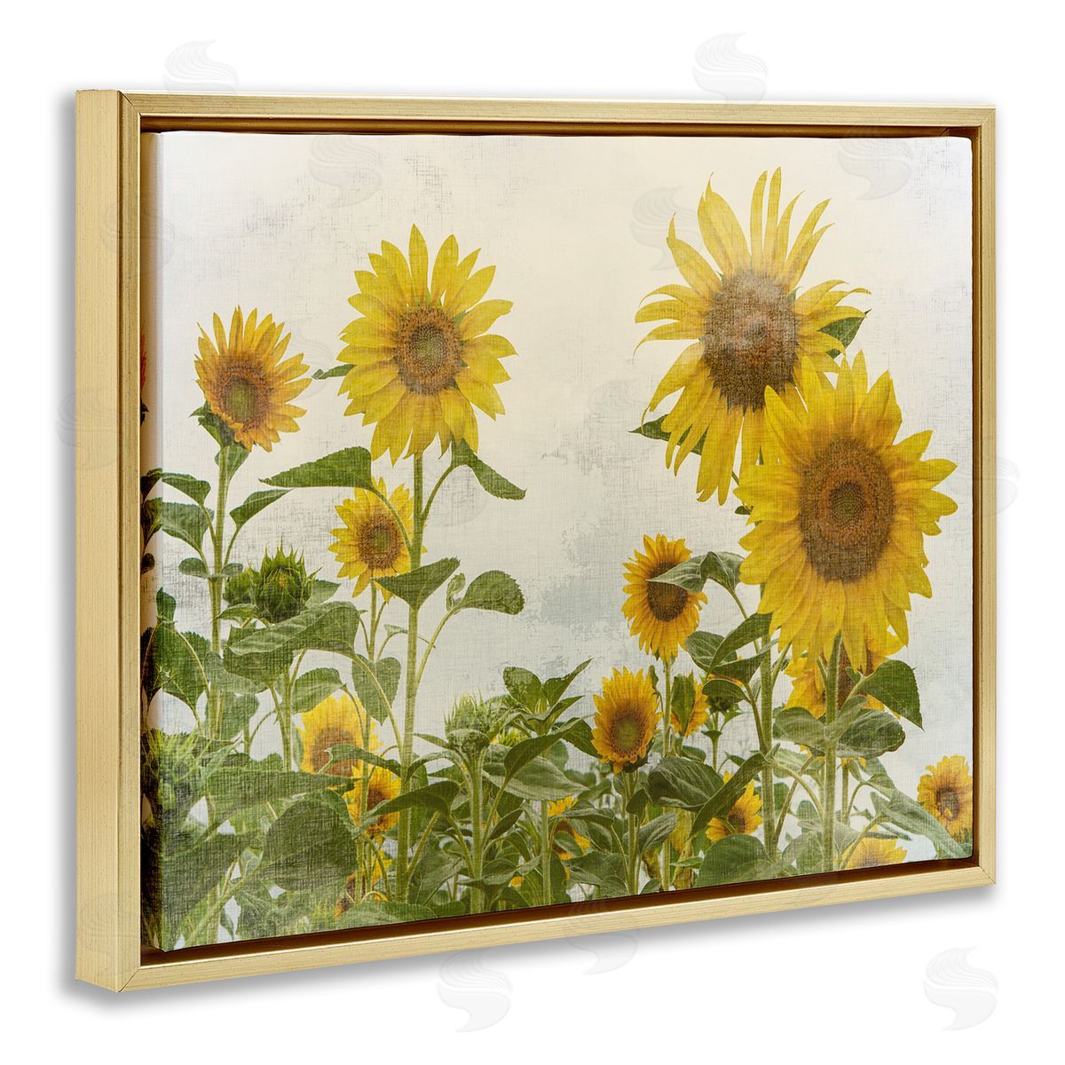 Sunflower Garden Farm Burlap Gold Floating Frame Canvas Wall Art, Home Decor by Anne Bailey