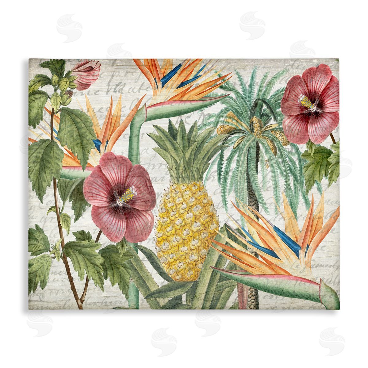 Tropical Flower Pineapple Arrangement Canvas Wall Art, Home Decor by Kim Allen