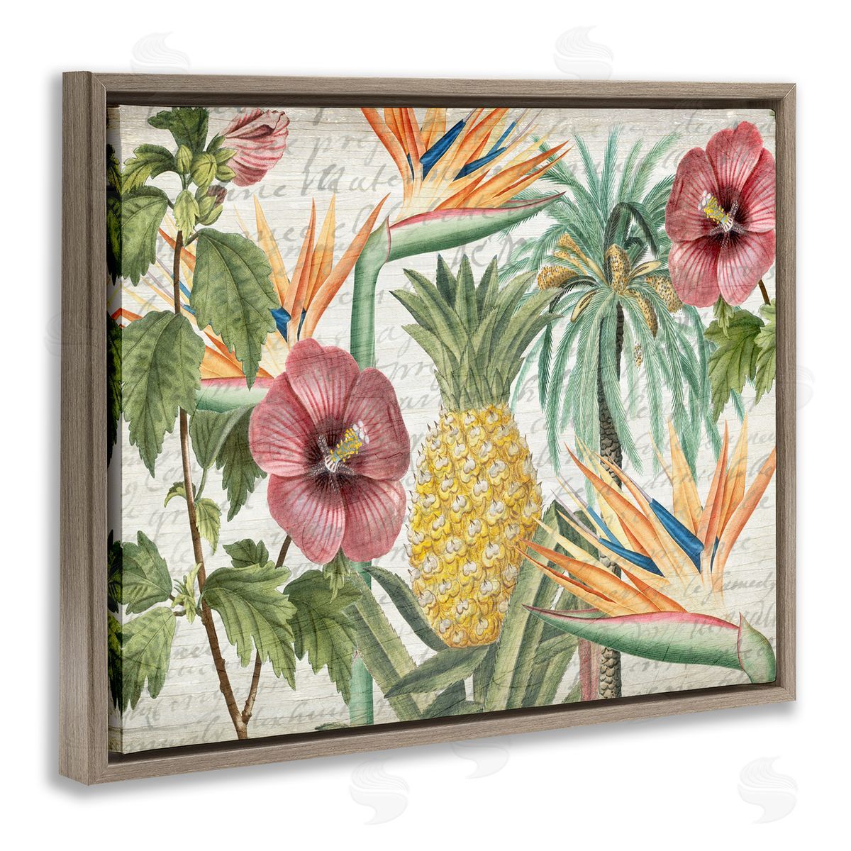 Tropical Flower Pineapple Arrangement Brown Floating Frame Canvas Wall Art, Home Decor by Kim Allen