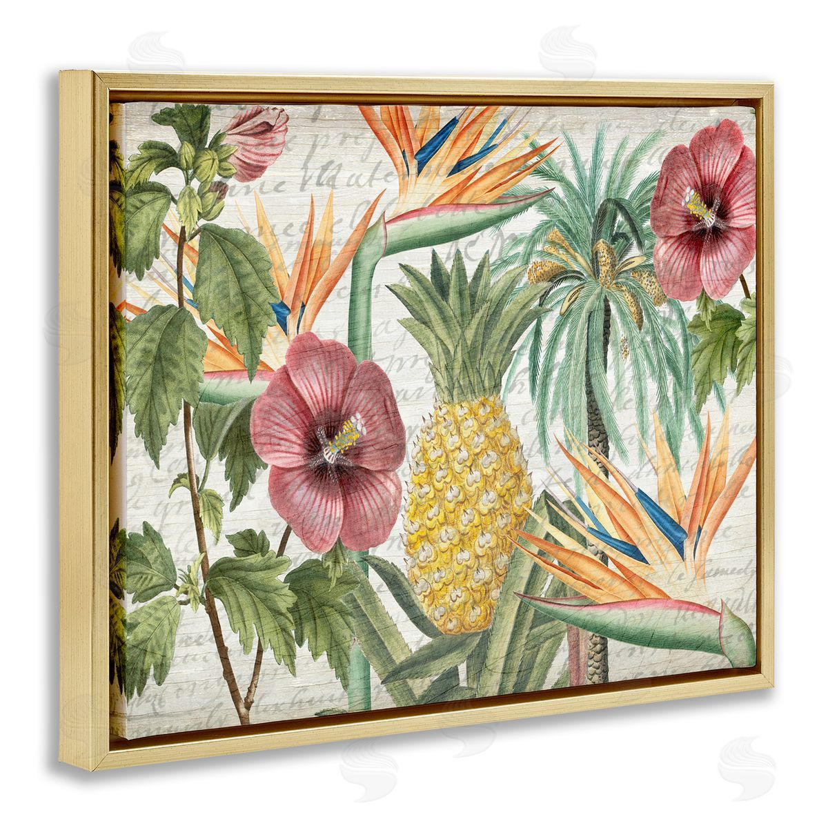 Tropical Flower Pineapple Arrangement Gold Floating Frame Canvas Wall Art, Home Decor by Kim Allen