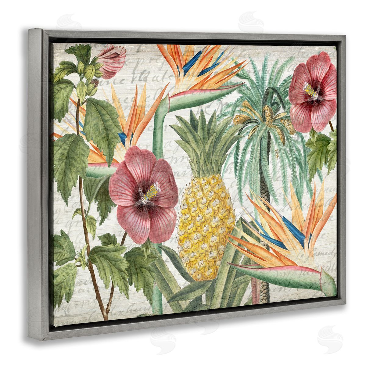 Tropical Flower Pineapple Arrangement Grey Floating Frame Canvas Wall Art, Home Decor by Kim Allen