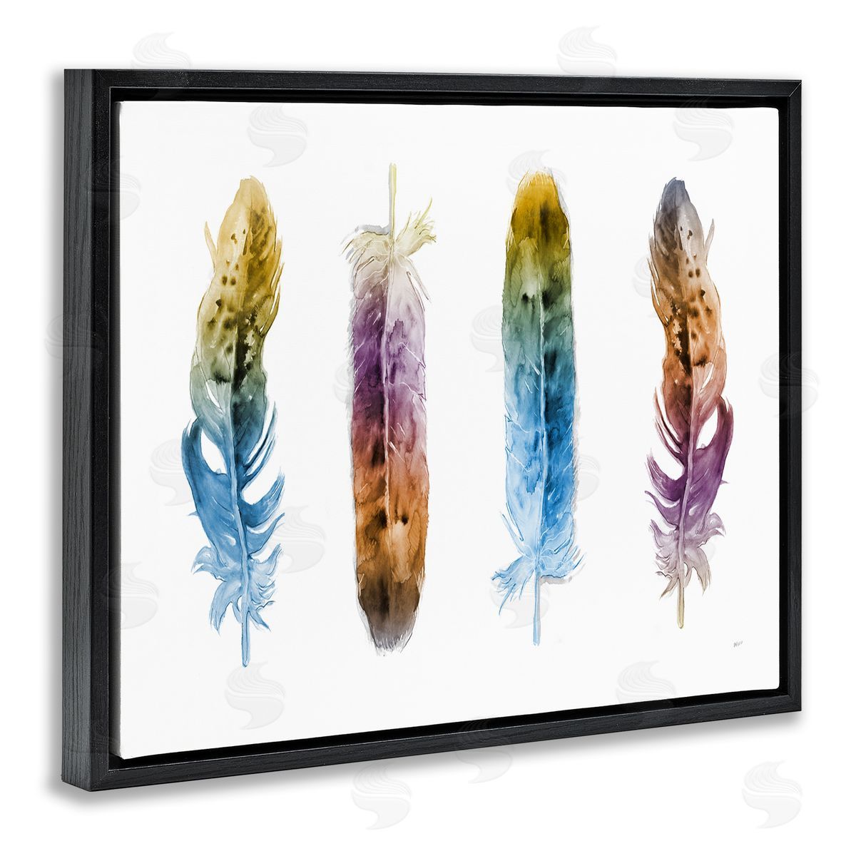 Feathers In Watercolor Black Floating Frame Canvas Wall Art, Home Decor by Patti Mann