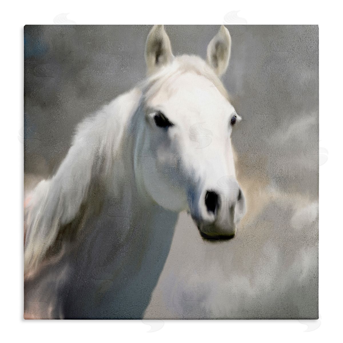 White Horse Portrait Painting Canvas Wall Art, Home Decor by Kim Allen